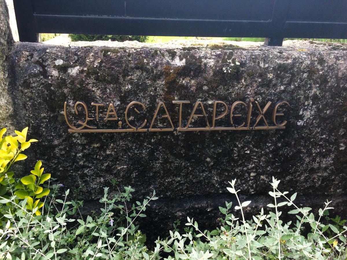 Quinta De Catapeixe Douro River Magrelos Εξωτερικό φωτογραφία