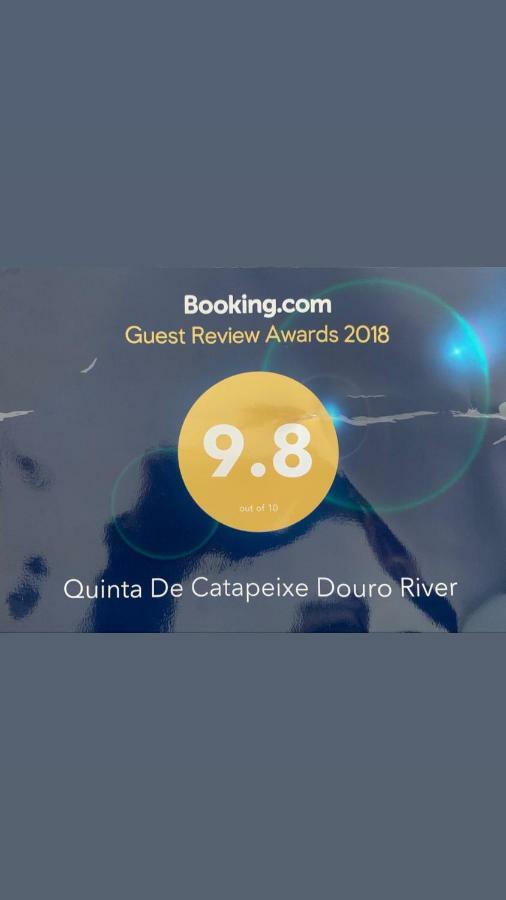 Quinta De Catapeixe Douro River Magrelos Εξωτερικό φωτογραφία